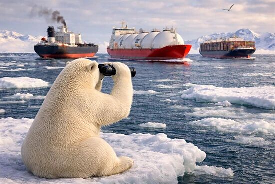 20 Days Direct to Europe! Arctic Route Launches Weekly Scheduled Operations