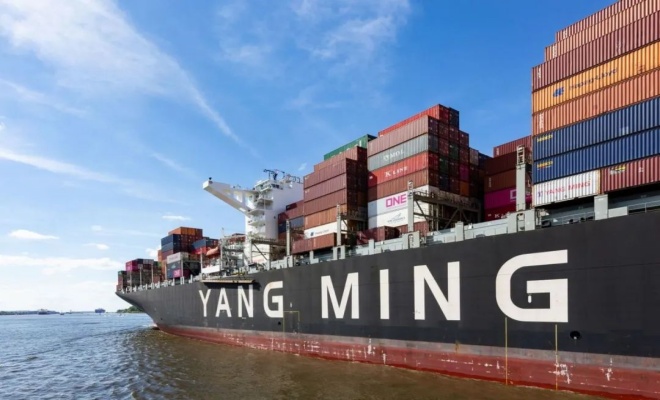 这家中国船东疯狂造船，冲击百万TEU！