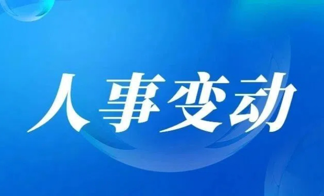 陈文科任宁波远洋副总经理